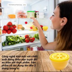 Sap Khu Mui Tu Lanh Denkmit 7